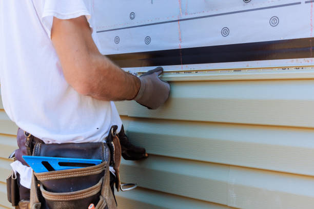 Affordable Siding Replacement solutions in Laneview, VA